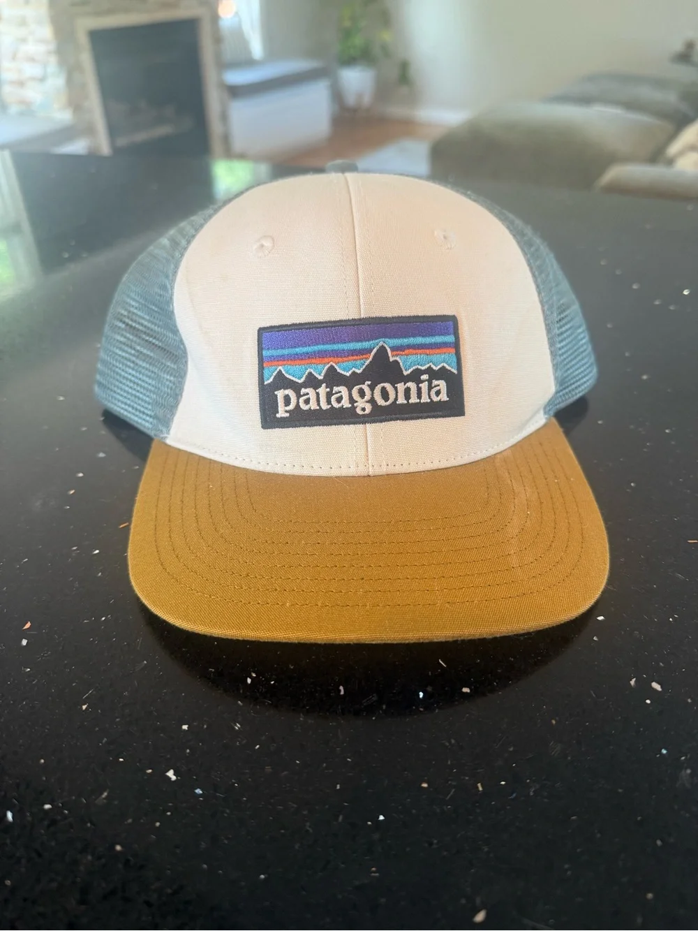 Patagonia Trucker Hat in White, Teal & Brown